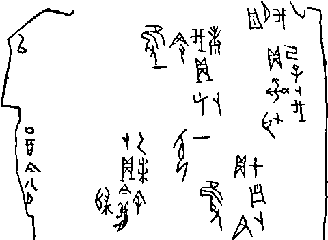 資料